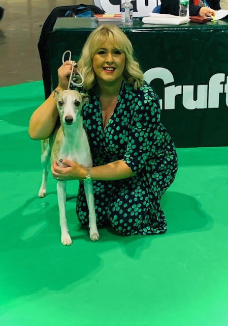 Jordan Dargue, our Strategic Advisor with one of her Whippets at Crufts dog show
