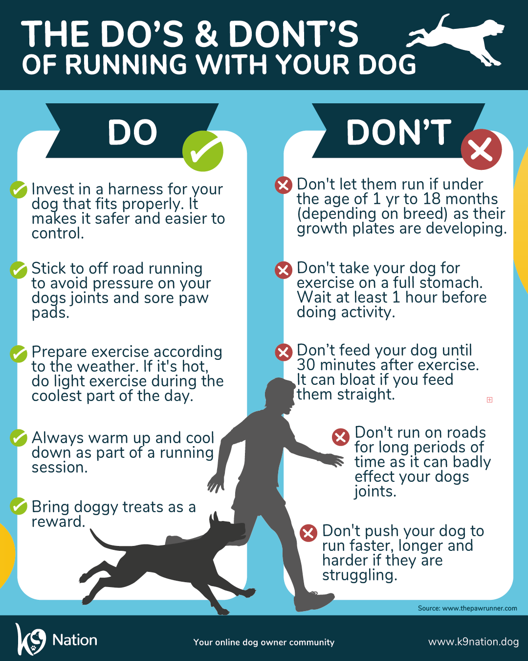 Running with your dog - Info 1