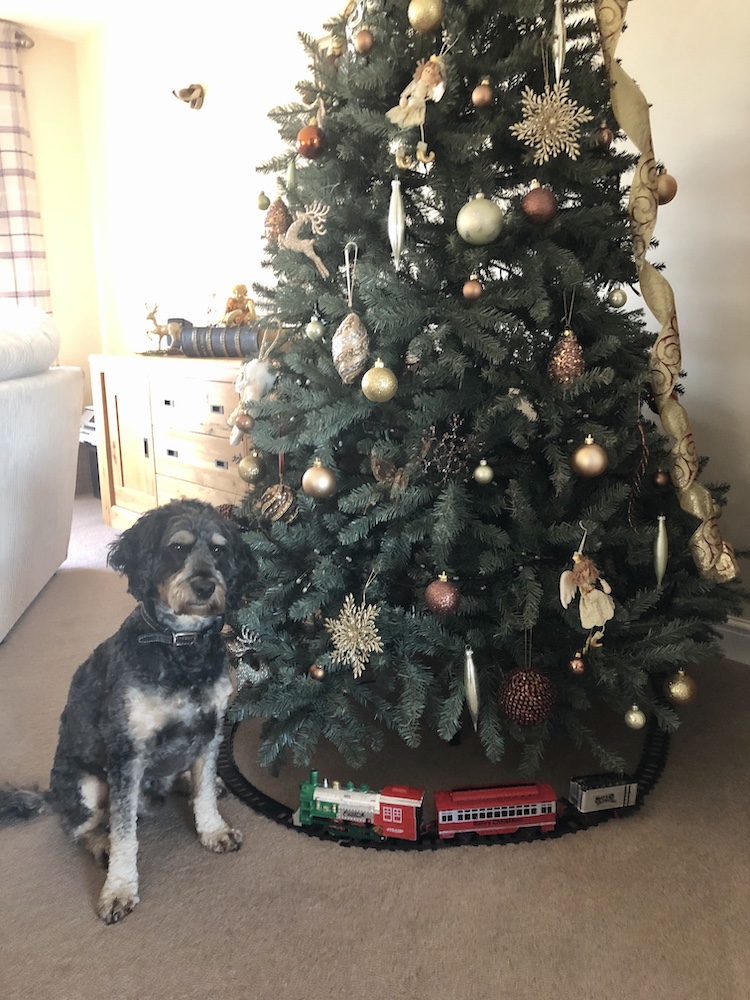Dog-proofing your Christmas tree