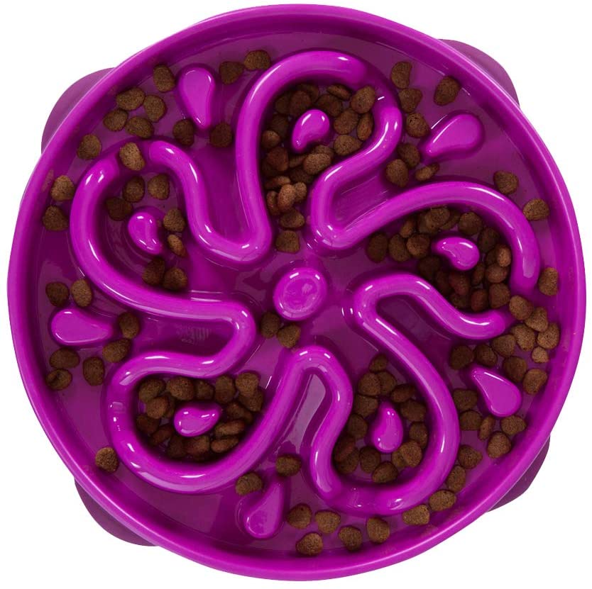 A purple dog bowl viewed from above, it has an intricate pattern of ridges and has some food spread around the bowl between the ridges. The ridges are layed out in a flower shap and are intended to slow a dog from eating too fast.