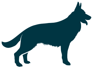 A vector image of a German Shepherd dog. The image is dark blue and the dog is featured profile looking right.