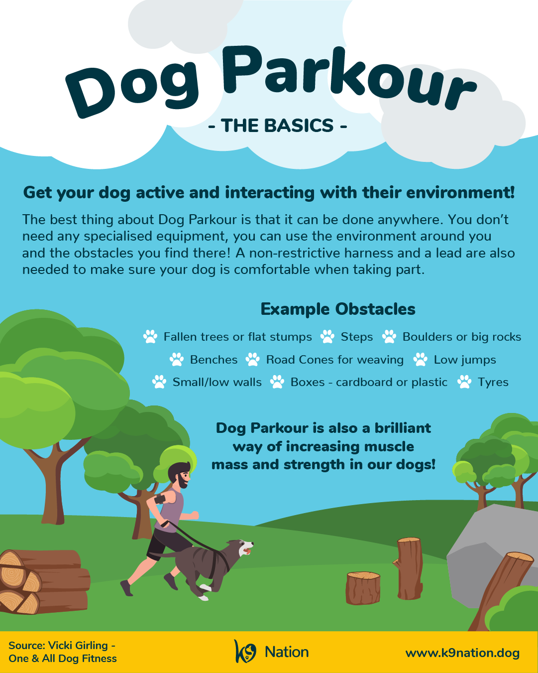 K9 Nation - Dog Parkour - Infographic